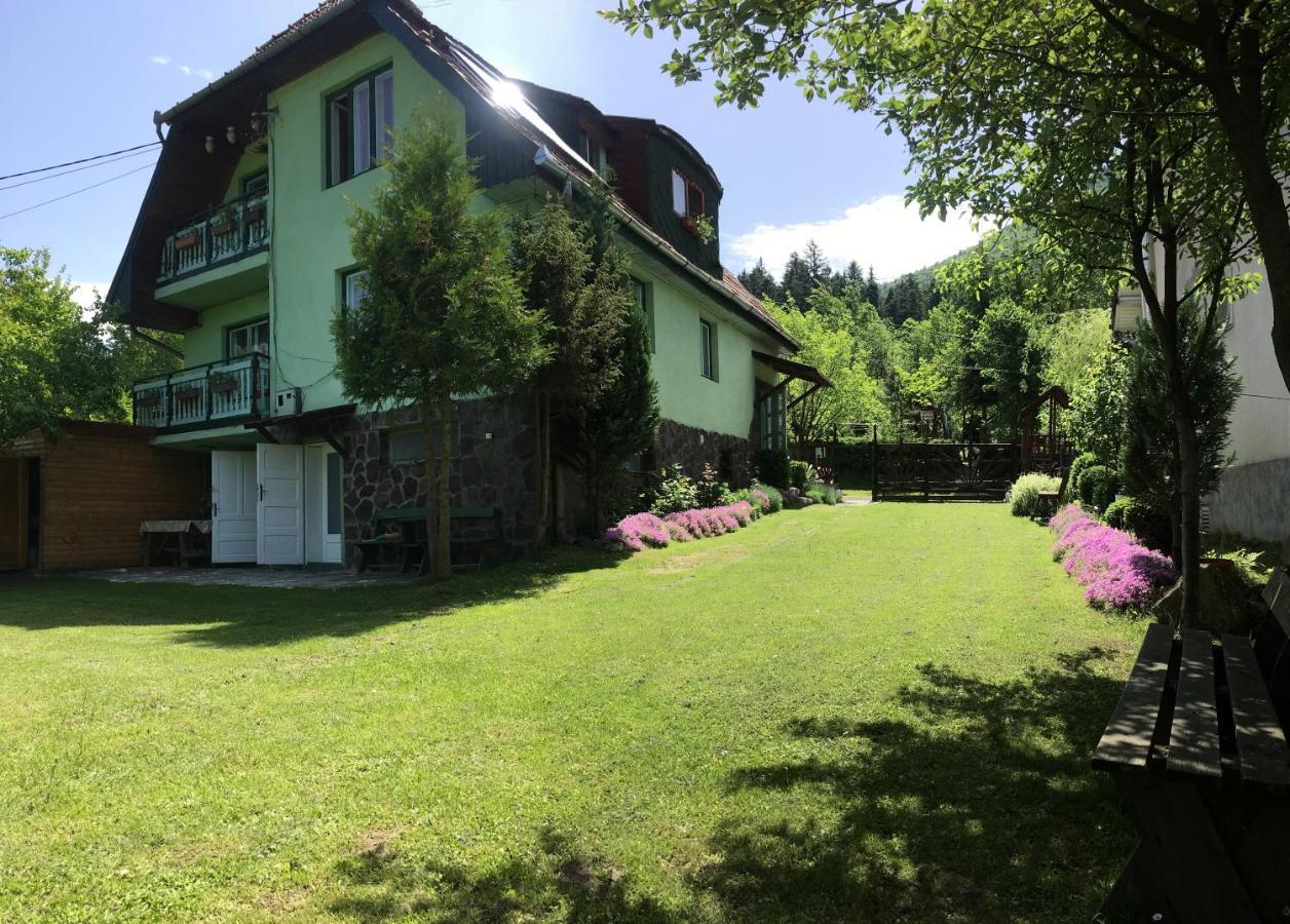 Pensiunea Panorama BaileTusnad Buitenkant foto